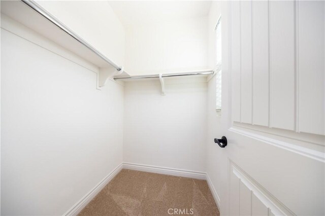 walk in closet featuring carpet flooring