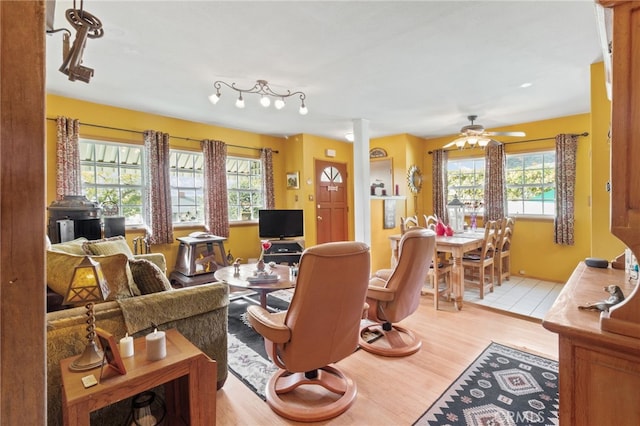 living room with ceiling fan and light wood-type flooring