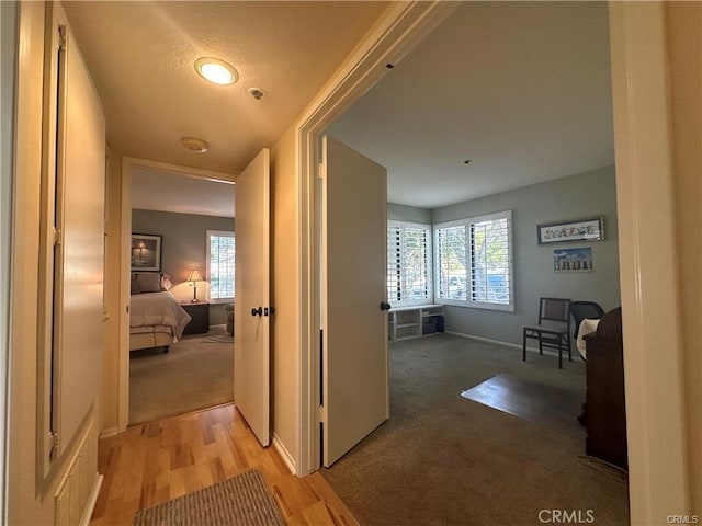 corridor with light colored carpet