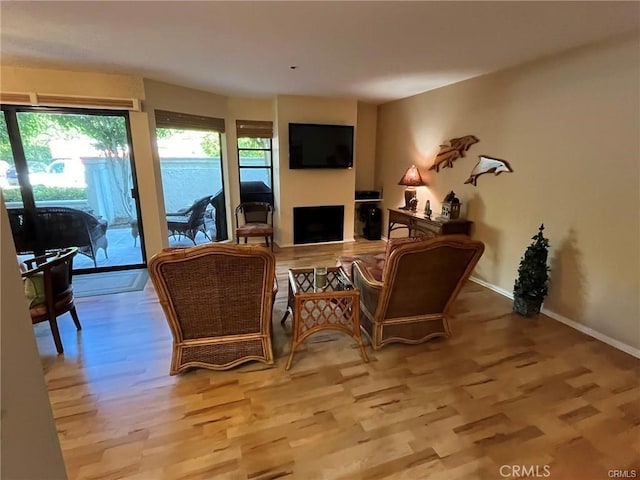 living room featuring light hardwood / wood-style floors