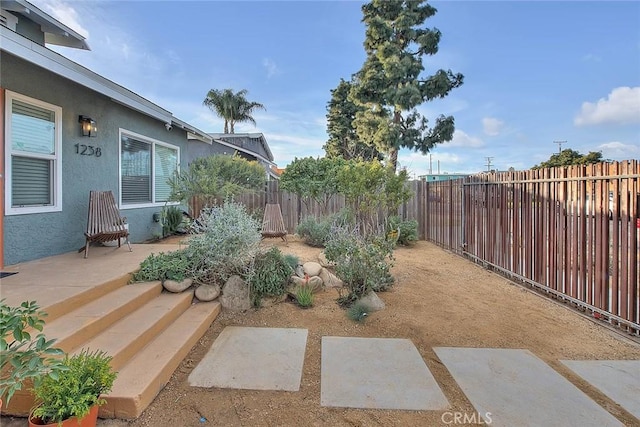 view of yard featuring a patio