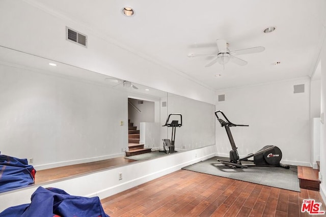 workout area with ceiling fan and crown molding