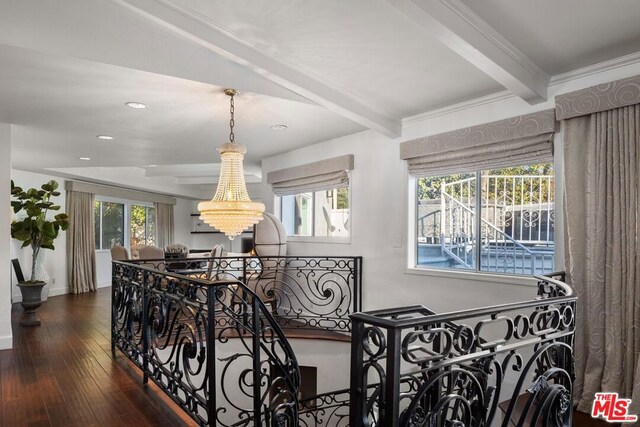 hall featuring dark wood-type flooring, plenty of natural light, beam ceiling, and a notable chandelier