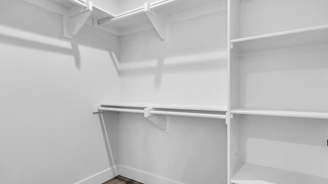 spacious closet with wood-type flooring