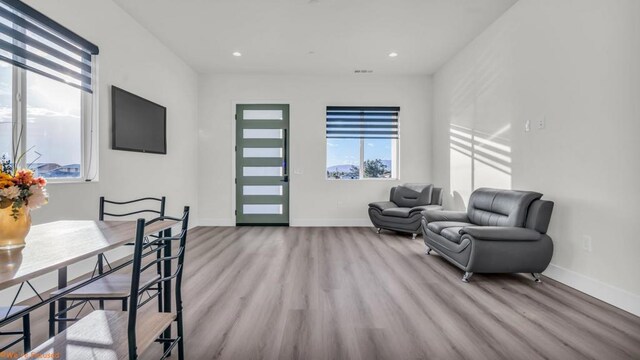 living room featuring light hardwood / wood-style floors