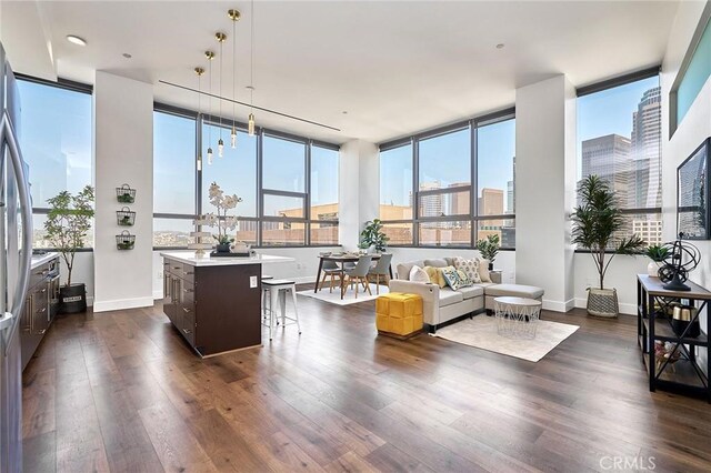 living room featuring dark hardwood / wood-style flooring