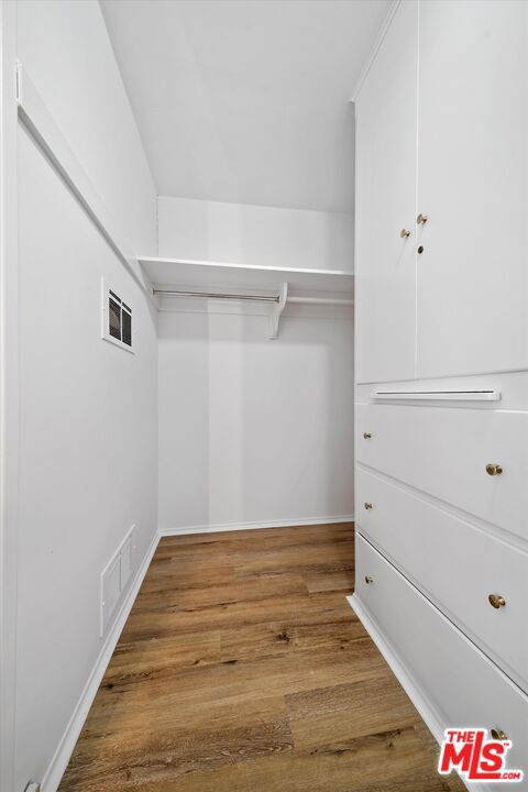 spacious closet with wood-type flooring