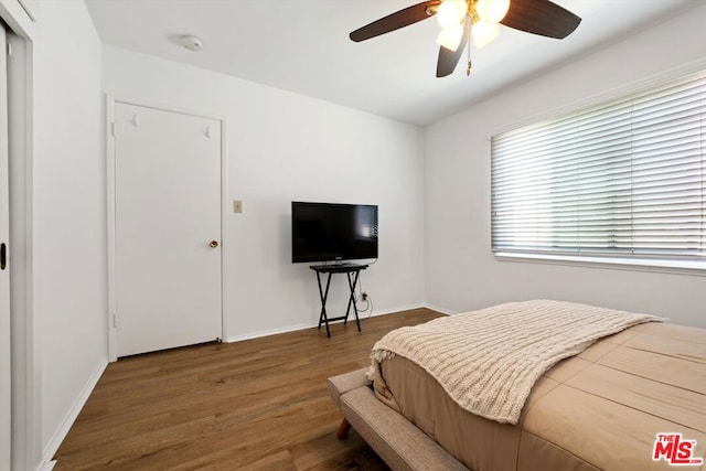 bedroom featuring ceiling fan and dark hardwood / wood-style floors