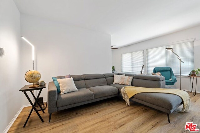 living room featuring light hardwood / wood-style floors