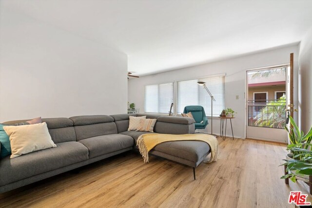 living room featuring ceiling fan and light hardwood / wood-style floors