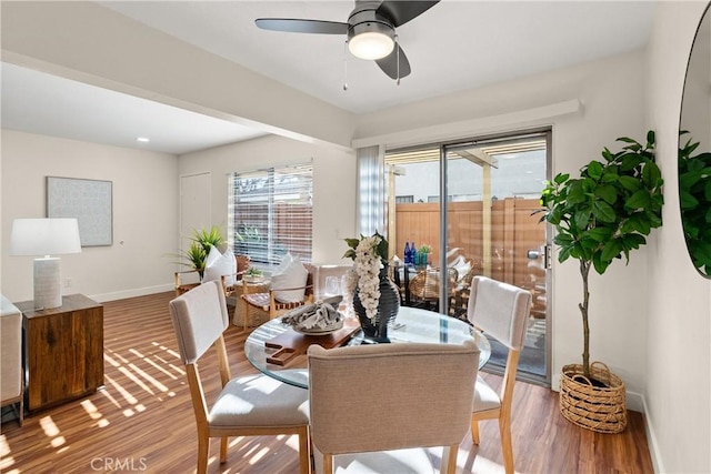 dining area with ceiling fan and wood-type flooring