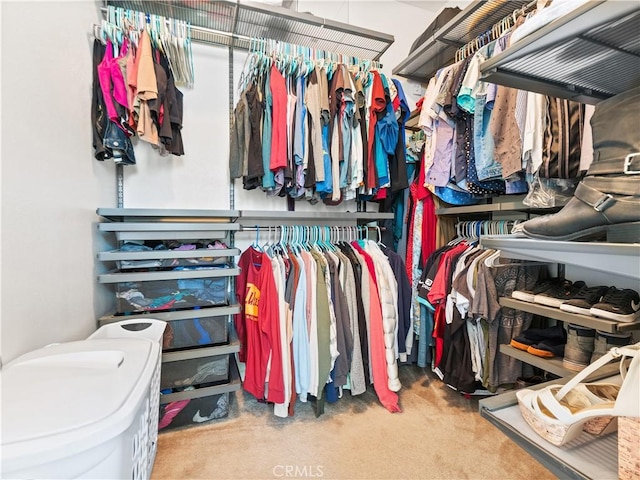 walk in closet with carpet floors