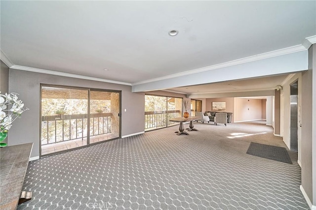 interior space featuring carpet floors and crown molding