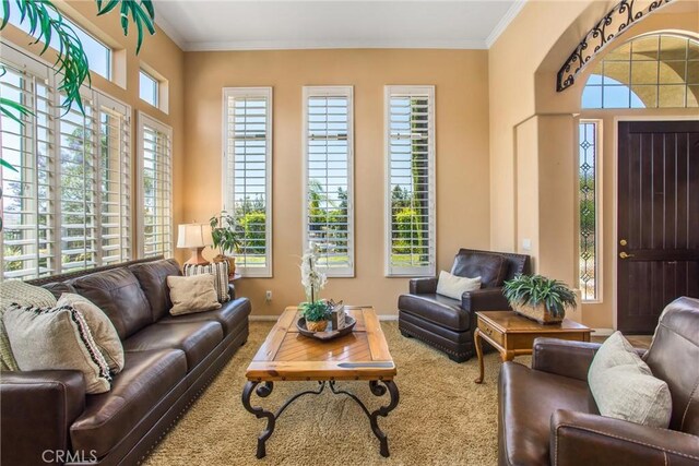 carpeted living room with crown molding