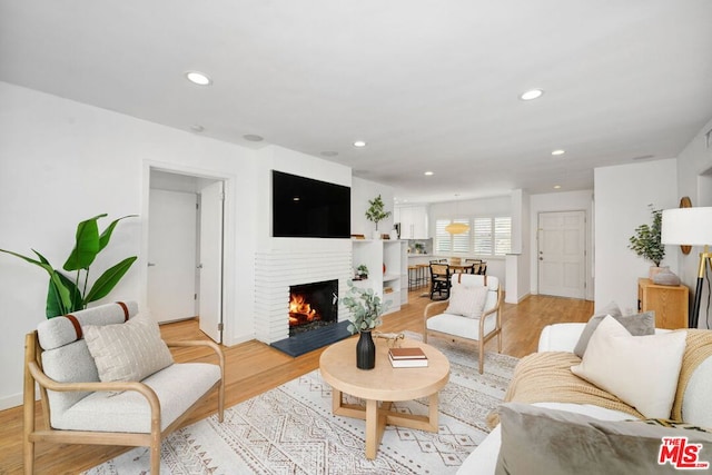 living room featuring a fireplace and light hardwood / wood-style flooring