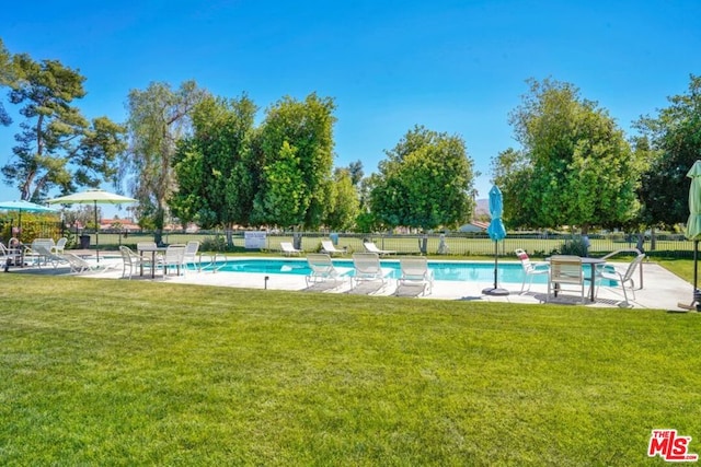 view of pool featuring a patio area and a yard