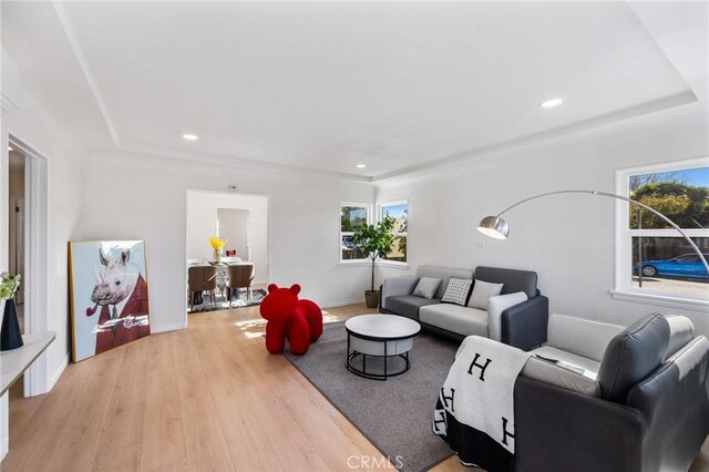 living room with light hardwood / wood-style flooring