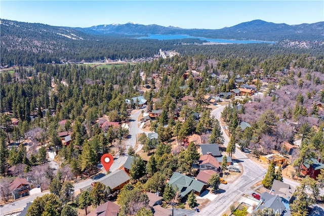 43451 Sheephorn Rd, Big Bear Lake, CA 92315 - photo 42