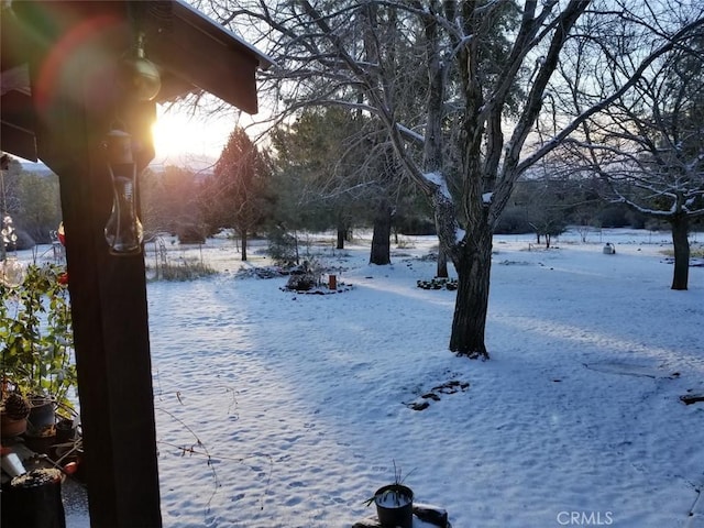 view of snowy yard