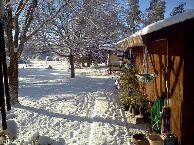 view of snowy yard