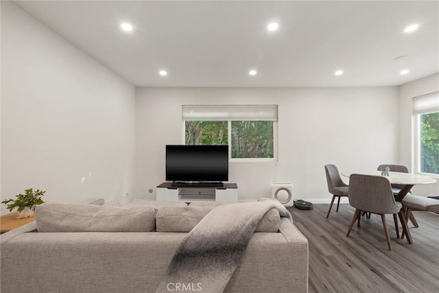 living room with hardwood / wood-style floors