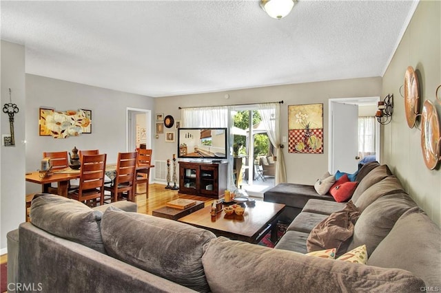 living room with wood-type flooring and a textured ceiling