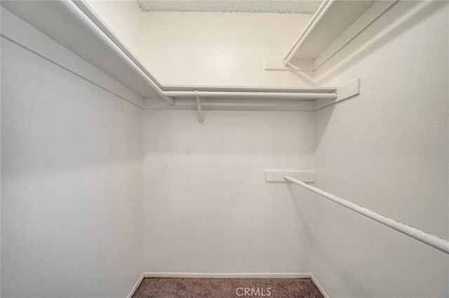 walk in closet featuring carpet