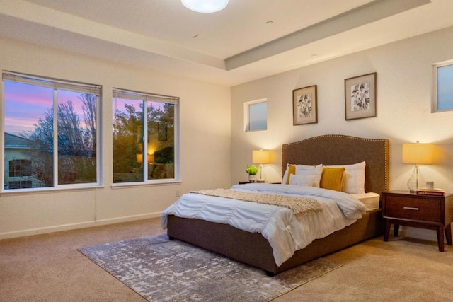 bedroom with carpet floors and a tray ceiling