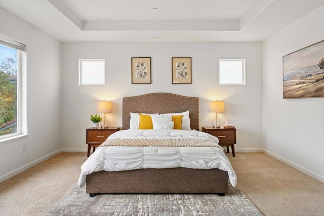 bedroom featuring a raised ceiling and light colored carpet