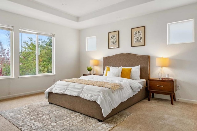 bedroom featuring a raised ceiling and carpet