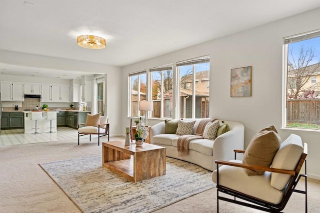 living room featuring light colored carpet