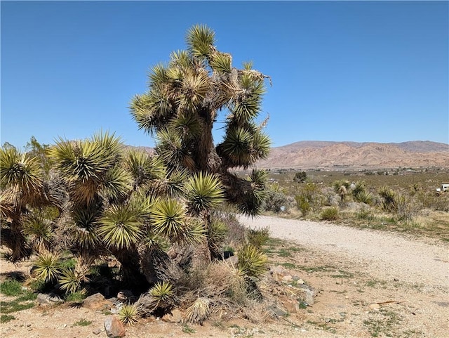 31072 Azurite Rd, Lucerne Valley, CA 92356 - property view of mountains