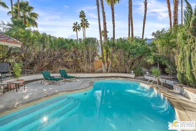 view of pool featuring a patio