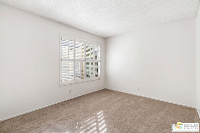 spare room featuring a textured ceiling and carpet flooring