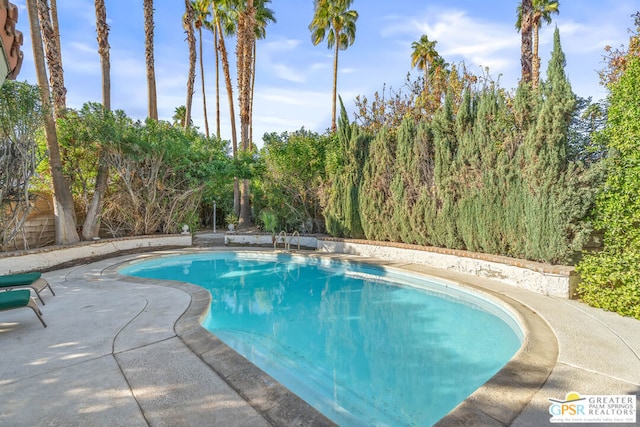 view of swimming pool with a patio area