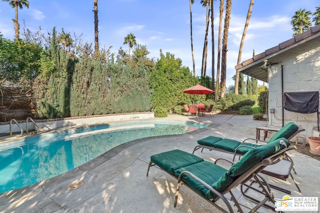 view of pool with a patio area