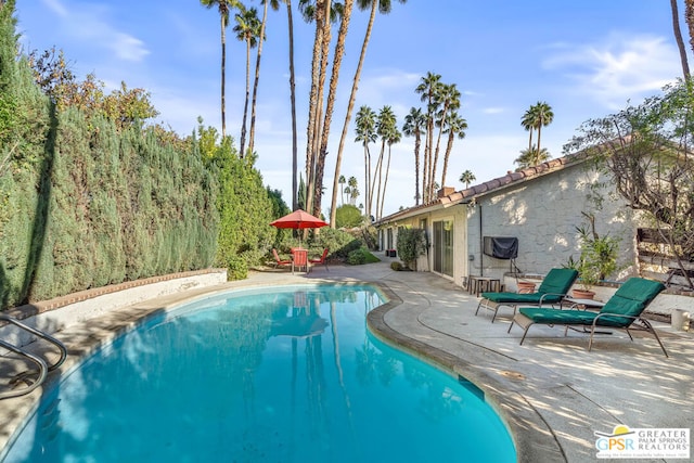 view of swimming pool with a patio area