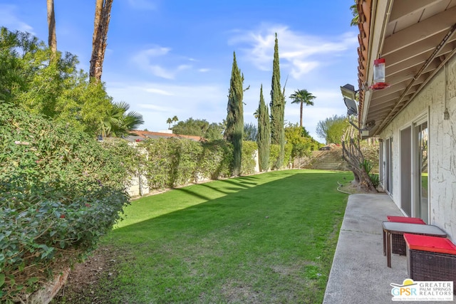 view of yard featuring a patio