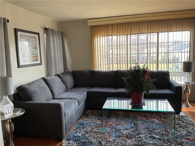 living room featuring wood-type flooring