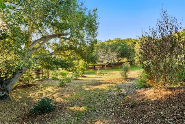 view of yard featuring a rural view