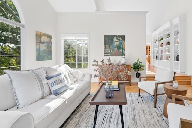 living room with hardwood / wood-style flooring