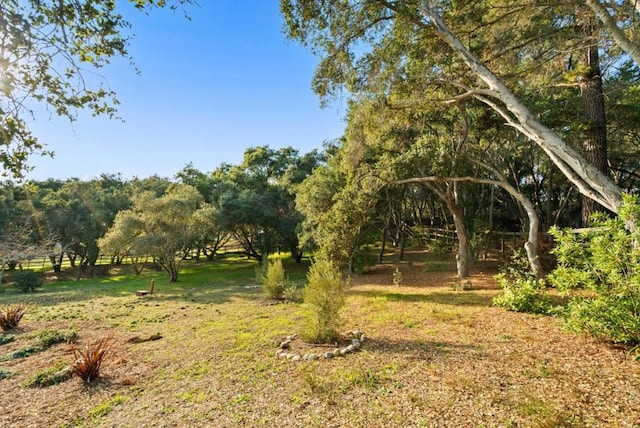 view of landscape