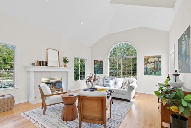 interior space featuring a fireplace, high vaulted ceiling, and light wood-type flooring