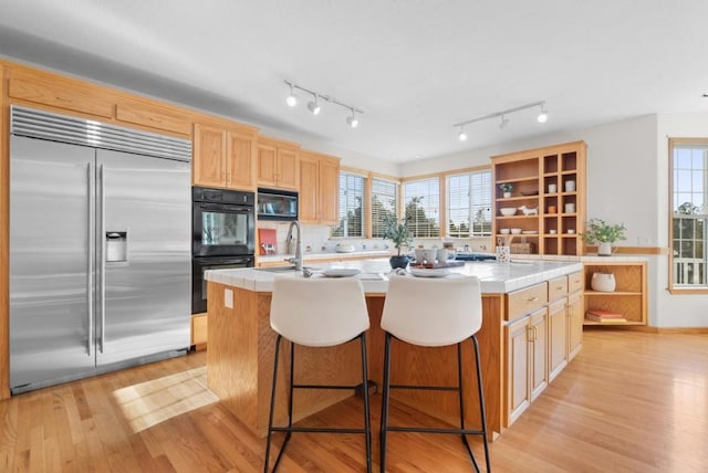 kitchen featuring a wealth of natural light, light hardwood / wood-style floors, a kitchen island with sink, and black appliances