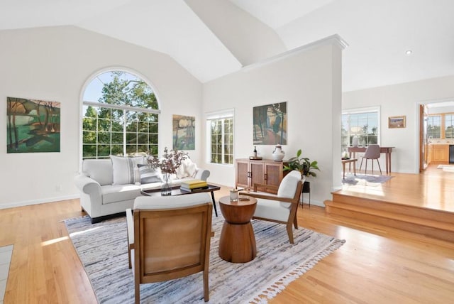 living room with lofted ceiling, light hardwood / wood-style flooring, and a healthy amount of sunlight