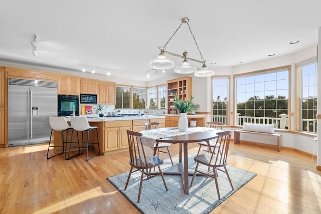 dining space with track lighting and light wood-type flooring