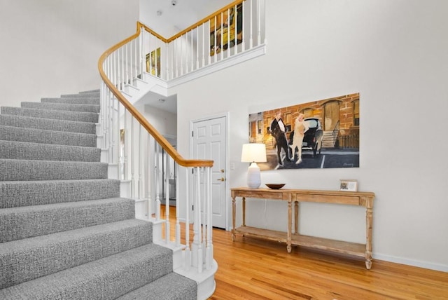 entryway featuring a towering ceiling and wood-type flooring