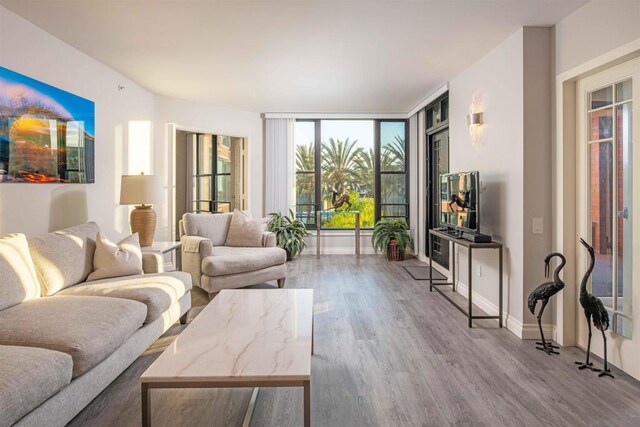 living room featuring hardwood / wood-style floors