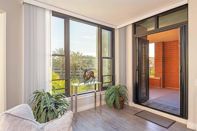 entryway featuring wood-type flooring