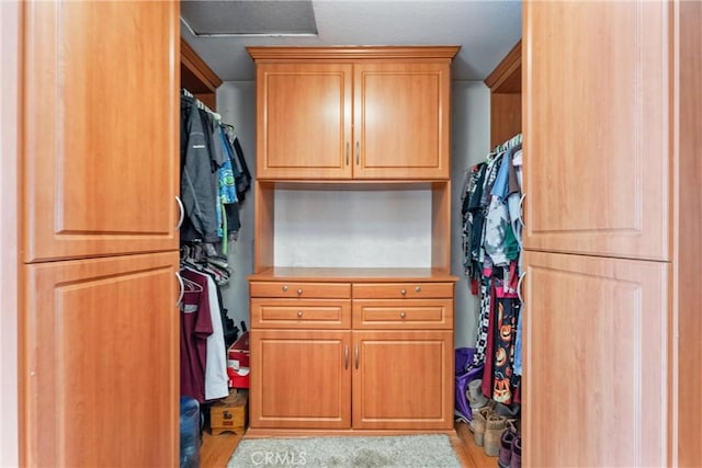 view of walk in closet